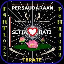 Materi latihan pencak silat di psht 1: Psht 1922 Fur Android Apk Herunterladen