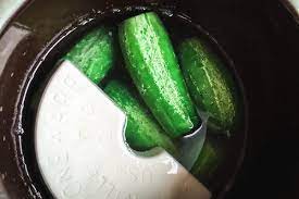 Lacto Fermented Pickles Step By Step Guide