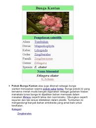 #kerabubungakantan #asmrcooking #ajinchannelno music just plain cooking sound. Bunga Kantan