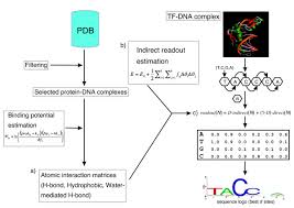 Flowchart Of The Dnaprot Algorithm Starting From The Set Of