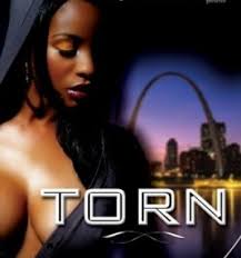 STL native and Essence best-selling author Keisha Ervin presents Torn