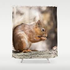 Stop Neglecting Bathroom Decor Our Designer Shower Curtains Bring A Fresh New Feel To An Overlooked Space Hookless And E Forest Animals Animals Red Squirrel