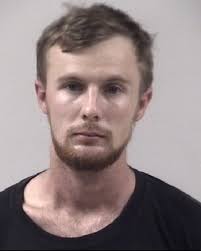 Johnston County, NC Arrests