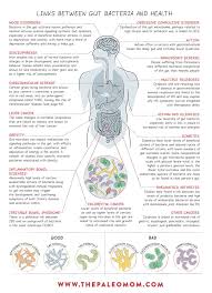 What Is The Gut Microbiome And Why Should We Care About It Gut Microbiome Gut Health Microbiome