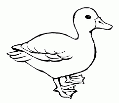 Cách vẽ gà con 1. Con Vá»‹t Trá»'ng Chua A Di Ä'a