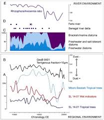 Image result for Kohautia microflora