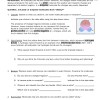 Molecules of life worksheet answer key molecular geometry worksheet answer key download file pdf molecular geometry lab with answer key pogil work,, 4 3 1 3 ax 3 vsepr, lewis structures shapes and polarity. 1