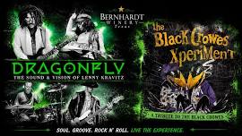 Lenny Kravitz & The Black Crowes Tribute Show