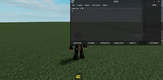 Hey i'm back with another video, and today ill be showing you how to update krnl after a patch by roblox. Get You Krnl Executor For Free And Do Some Scripting By Danrp8 Fiverr