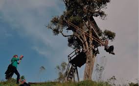 El lugar brinda un ambiente de. Http Www Xn Baosdeaguasanta Zqb Com Index Php Page Info Turismo Ecuador Banos De Agua Santa Lugares Turisticos