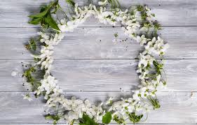 Sweetbay magnolia trees feature creamy white spring and summer flowers with a sweet, lemony fragrance and leaves that flutter in the slightest breeze to flash their silvery undersides. Wallpaper Leaves Flowers Background Tree Spring Images For Desktop Section Cvety Download