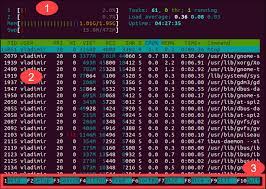 5 Commands To Check Memory Usage In Linux {Easy Way}