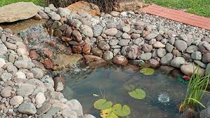 Let them know i sent you if you should choose this route. How To Build A Pond Or Water Garden In Your Yard