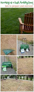 Before After Lawn Makeover Project The Happy Housie Diy Lawn Healthy Lawn Lawn Care