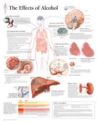 the effects of alcohol educational chart poster prints