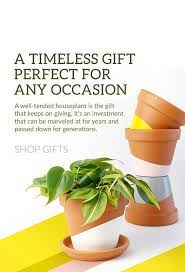 Plant Subscription Box Potted Plant Delivery Horti Plant Delivery Plants Plant Care