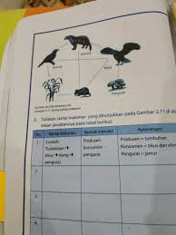 Rantai makanan #rantai makanan adalah peristiwa makan dan dimakan antara makhluk hidup dengan urutan tiap tingkat dari rantai makanan dalam suatu ekosistem disebut tingkat trofik. Tuliskan Rantai Makanan Yang Ditunjukkan Pada Gambar Detik 11 Di Atas Itu Kan Jawabannya Datang Brainly Co Id