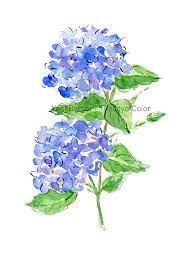 Hydrangea Watercolor Hydrangea Painting Blue Hydrangea Flower Painting Hydrangea Blosso Watercolor Flowers Paintings Hydrangea Painting Watercolor Flowers