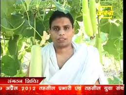 Bottle Gourd Loki ल क Youtube