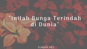 Check spelling or type a new query. Inilah 11 Bunga Terindah Di Dunia Beserta Nama Maknanya Lengkap