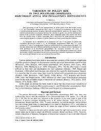 Image result for Phyllanthus odontadenius