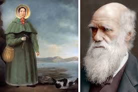 The fight to save Darwin's 550-year-old oak from a bypass