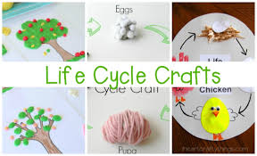 The next page was the life cycle flow chart. Must Try Life Cycle Activities For Kids