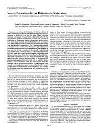 Practice balancing chemical equations with this multiple choice quiz. Pdf Vesicle Formation During Reticulocyte Maturation Association Of Plasma Membrane Activities With Released Vesicles Exosomes