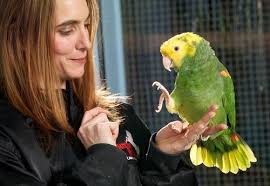 Some species have the capacity to learn a plethora of words and phrases while others only tend to repeat a few simple words. Echo The Talking Parrot At The Animal Gardens In Delavan Kid Friendly Activities Kid Friendly Fun Animals