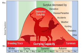 What Does Carrying Capacity Mean In Ecology Example