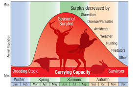 what does carrying capacity mean in ecology example