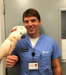 Hours, address, exotic animal experience reviews: Meet The Avian And Exotics Team In Boston Mspca Angell