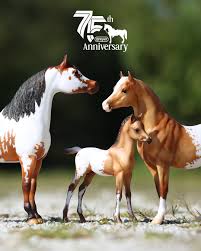 Image result for Thesium breyeri