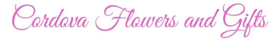 These include the university of west florida, pensacola state. Best Florists Flower Delivery In Pensacola Fl 2021