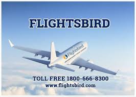 Search And Book Direct Non Stop Cheap Flights From Las Vegas Las To Denver Den Many Other Us Destination Comp Cheap Flights Airfare Deals Air Tickets