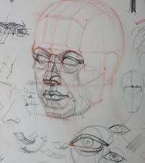 Instagram Drawings Anatomy Art Portrait Drawing