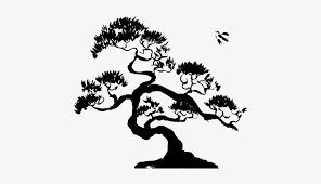 Check spelling or type a new query. 71e63a85e64fc2b1d0f0 Bonsai Tree Silhouette Png Transparent Png 707x440 Free Download On Nicepng