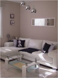 77 Idee Deco Peinture Salon Sejour Deco Salon Blanc Decoration Salon Blanc Decoration Salon Gris