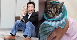 Cats make wonderful companions and there are many cats and kittens available for adoption at the rspca. Pet Adoption Is A Big Responsibility Here S How This Malaysian Campaign Can Help Out Laptrinhx News