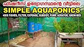 Aquaponics Providing Double Guarantee For A Farmer Manorama News Nattupacha Youtube
