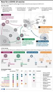 Vaccine allocation transfer and redistribution guidance for ihs and tribal facilities. Uzivatel Afpgraphics Na Twitteru Astrazeneca Pauses Covid 19 Vaccine Trial Https T Co Xv5m5qp2jg Here S Our Updated Vaccine Factfile And Tracker Infographic Based On Data From London School Of Hygiene And Tropical Medicine Afp Https T Co