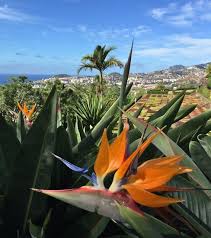 Porto Santo Und Madeira Traumhafte Kombi Meikemeilen Portugal Reisen Schone Orte Funchal