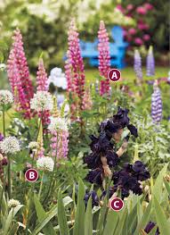 We did not find results for: How To Grow A Cut Flower Garden Garden Gate