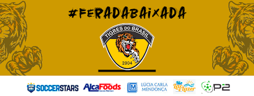 Valor de mercado valor transferência posição clube de origem janela de transferência. Tigres Do Brasil Verified Page Facebook