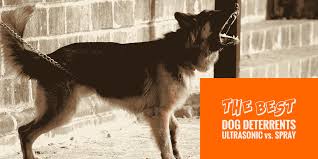 It is a top choice when it comes to dog control. 5 Best Dog Repellents Deterrent Sprays Vs Ultrasonic Repellers
