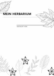 Weitere ideen zu herbarium vorlage, gestalten, deckblatt gestalten. Herbarium Gestalten Vorlage Anleitung Kinder Diy Trends