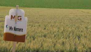 Check spelling or type a new query. Ziua Graului 2020 Soiuri De Calitate De La Marton Genetics Stiri Din Mures Stiri Targu Mures Liderul Presei Muresene