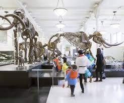 Check spelling or type a new query. Top Children S Science Museums Across The Us For Families Mommypoppins Things To Do With Kids