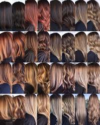 224 Likes 10 Comments Brittany Banda Texasbalayage On Instagram Warm Vs Cool Can Warm Undertone Hair Color Tone Hair Hair Color Auburn