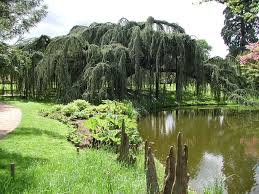 Arboretum de la Vallée-aux-Loups - Wikipedia